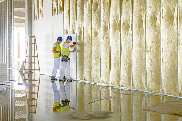 Garage Insulation Installation in Chatsworth, GA